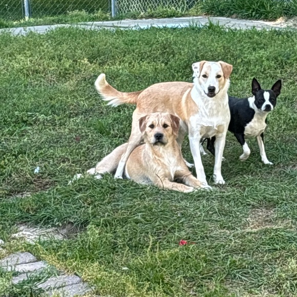 Meet your Posher, Sherri - Picture 5 of 8